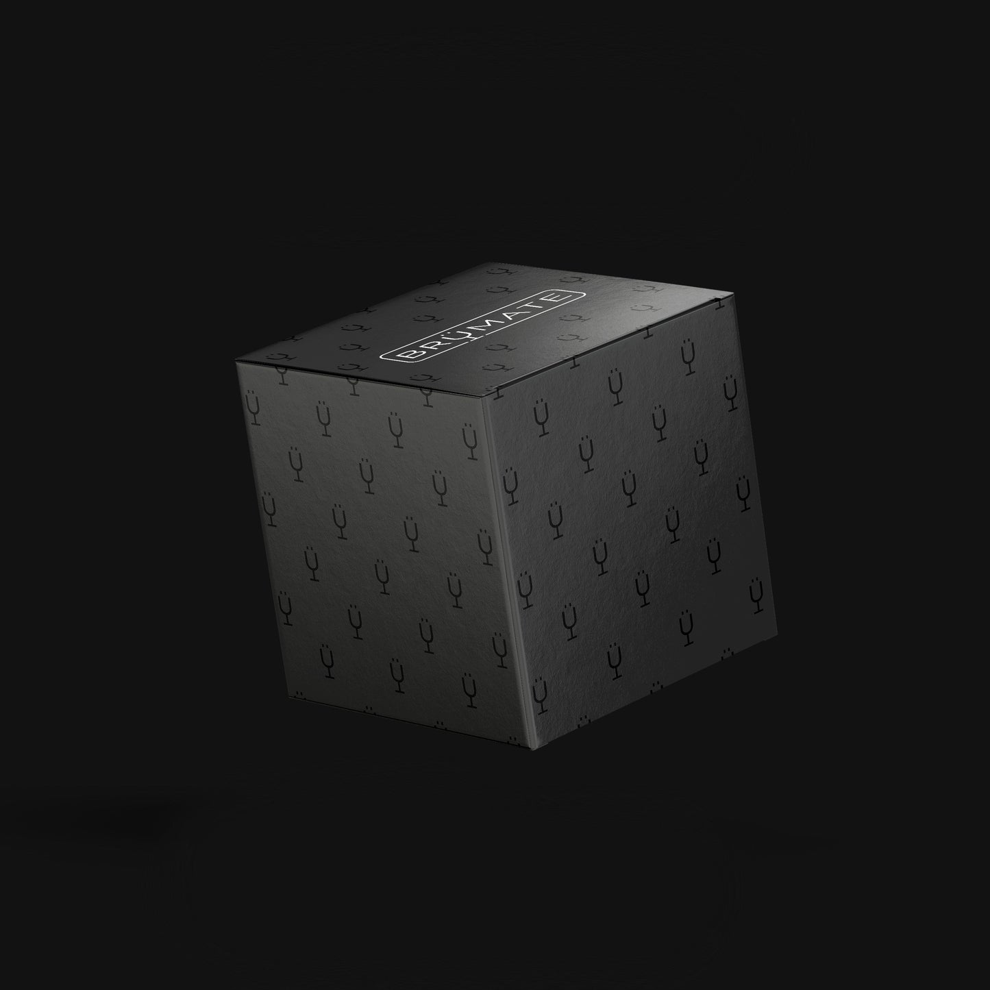 mystery-item-24-49-value-c2 Mystery-Box-FINAL.jpg