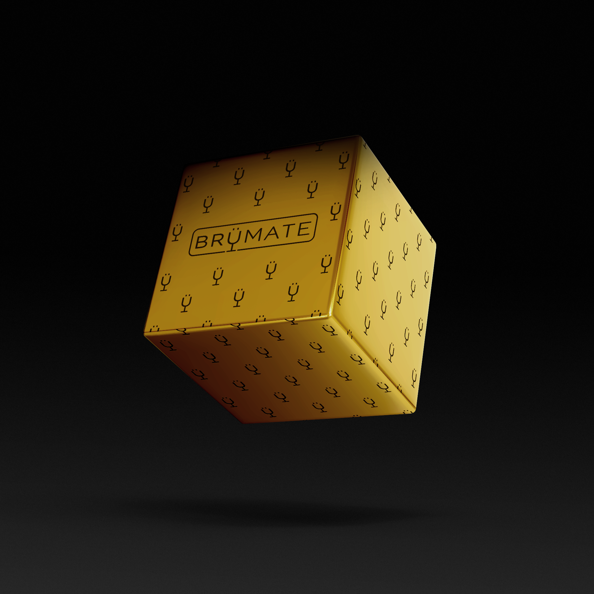 premium-mystery-item-39-70-value-u1 IMG-1548.png